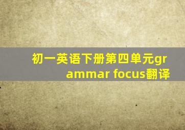 初一英语下册第四单元grammar focus翻译